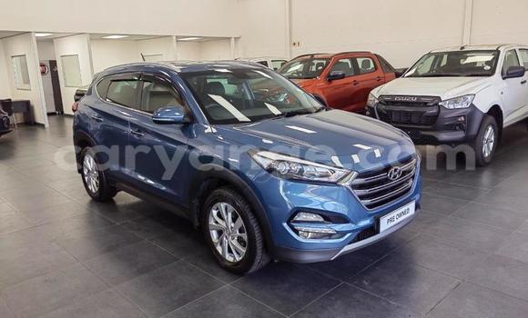 Buy Used Hyundai Tucson Blue Car in Windhoek in Namibia