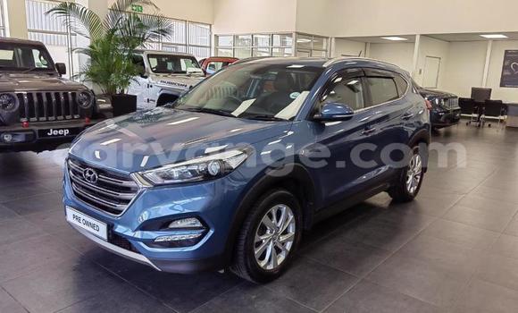 Buy Used Hyundai Tucson Blue Car in Windhoek in Namibia Buy Used Hyundai Tucson Blue Car in Windhoek in Namibia