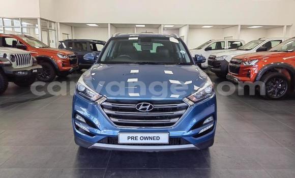 Buy Used Hyundai Tucson Blue Car in Windhoek in Namibia Buy Used Hyundai Tucson Blue Car in Windhoek in Namibia