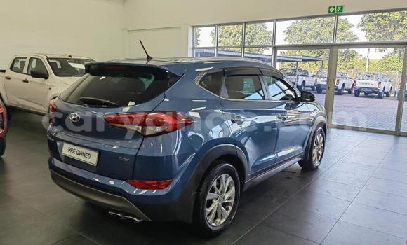 Buy Used Hyundai Tucson Blue Car in Windhoek in Namibia Buy Used Hyundai Tucson Blue Car in Windhoek in Namibia