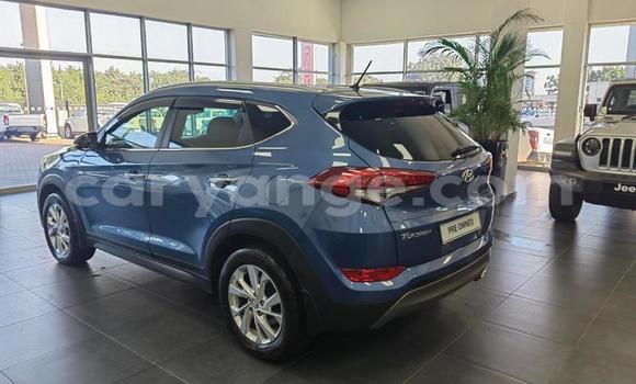 Buy Used Hyundai Tucson Blue Car in Windhoek in Namibia Buy Used Hyundai Tucson Blue Car in Windhoek in Namibia