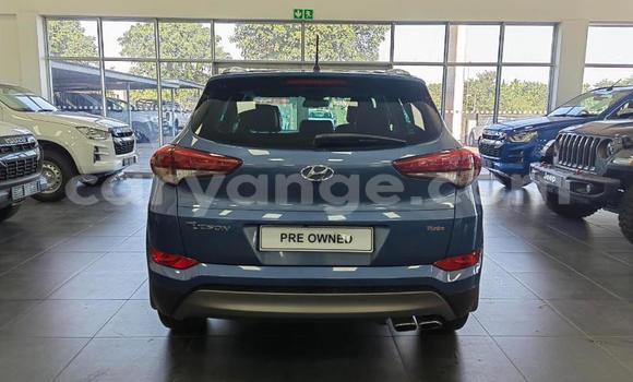 Buy Used Hyundai Tucson Blue Car in Windhoek in Namibia Buy Used Hyundai Tucson Blue Car in Windhoek in Namibia