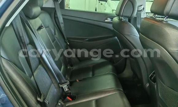 Buy Used Hyundai Tucson Blue Car in Windhoek in Namibia Buy Used Hyundai Tucson Blue Car in Windhoek in Namibia