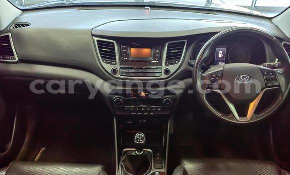 Buy Used Hyundai Tucson Blue Car in Windhoek in Namibia Buy Used Hyundai Tucson Blue Car in Windhoek in Namibia