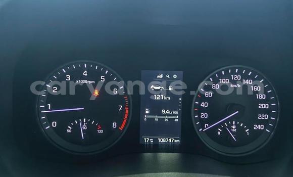 Buy Used Hyundai Tucson Blue Car in Windhoek in Namibia Buy Used Hyundai Tucson Blue Car in Windhoek in Namibia