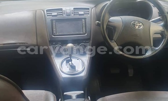 Buy Used Toyota Allex Other Car in Windhoek in Namibia Buy Used Toyota Allex Other Car in Windhoek in Namibia