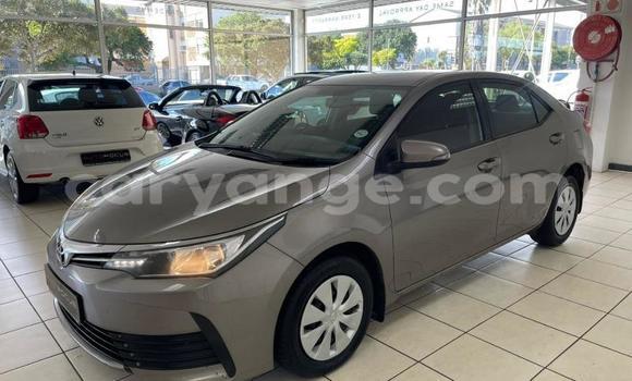 Buy Used Toyota Corolla Silver Car in Windhoek in Namibia Buy Used Toyota Corolla Silver Car in Windhoek in Namibia