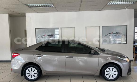 Buy Used Toyota Corolla Silver Car in Windhoek in Namibia Buy Used Toyota Corolla Silver Car in Windhoek in Namibia