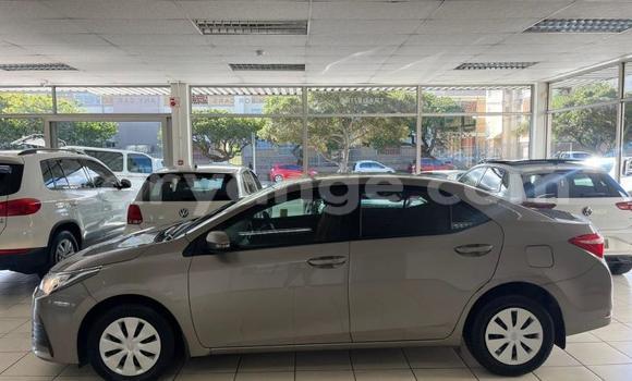 Buy Used Toyota Corolla Silver Car in Windhoek in Namibia Buy Used Toyota Corolla Silver Car in Windhoek in Namibia