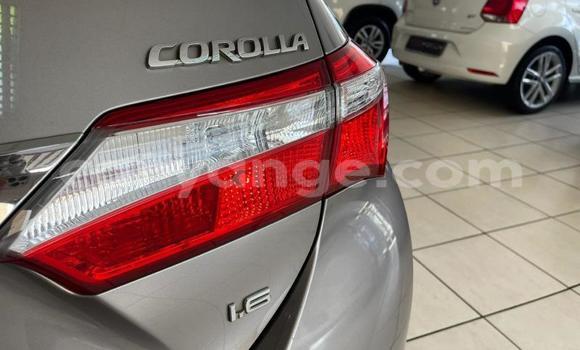 Buy Used Toyota Corolla Silver Car in Windhoek in Namibia Buy Used Toyota Corolla Silver Car in Windhoek in Namibia