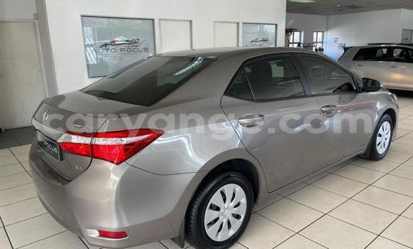Buy Used Toyota Corolla Silver Car in Windhoek in Namibia Buy Used Toyota Corolla Silver Car in Windhoek in Namibia