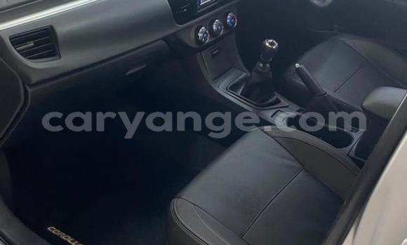 Buy Used Toyota Corolla Silver Car in Windhoek in Namibia Buy Used Toyota Corolla Silver Car in Windhoek in Namibia