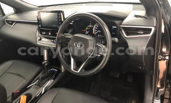 Buy Used Toyota Corolla Cross Black Car in Windhoek in Namibia Buy Used Toyota Corolla Cross Black Car in Windhoek in Namibia