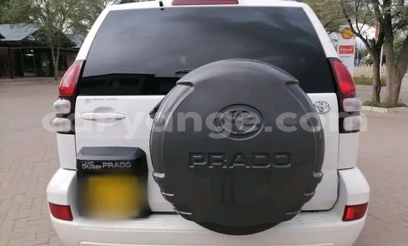 Acheter Occasion Voiture Toyota Land Cruiser Prado Blanc à Okahandja, Namibie Acheter Occasion Voiture Toyota Land Cruiser Prado Blanc à Okahandja, Namibie