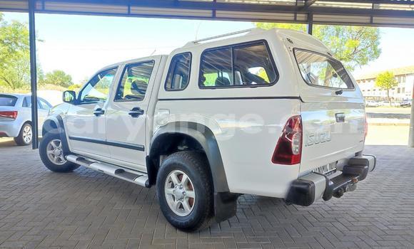 Buy Used Isuzu KB White Car in Windhoek in Namibia Buy Used Isuzu KB White Car in Windhoek in Namibia