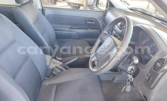 Buy Used Isuzu KB White Car in Windhoek in Namibia Buy Used Isuzu KB White Car in Windhoek in Namibia