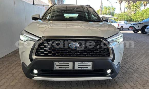 Buy Used Toyota Corolla Cross White Car in Windhoek in Namibia Buy Used Toyota Corolla Cross White Car in Windhoek in Namibia