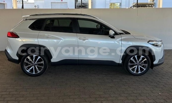 Buy Used Toyota Corolla Cross White Car in Windhoek in Namibia Buy Used Toyota Corolla Cross White Car in Windhoek in Namibia