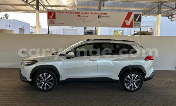 Buy Used Toyota Corolla Cross White Car in Windhoek in Namibia Buy Used Toyota Corolla Cross White Car in Windhoek in Namibia