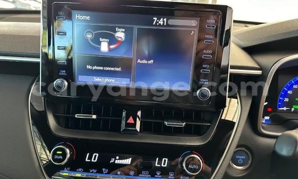 Buy Used Toyota Corolla Cross White Car in Windhoek in Namibia Buy Used Toyota Corolla Cross White Car in Windhoek in Namibia