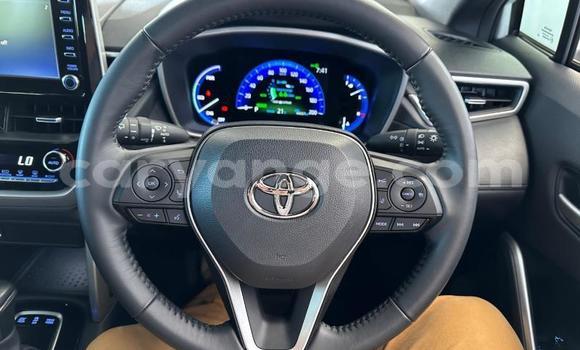 Buy Used Toyota Corolla Cross White Car in Windhoek in Namibia Buy Used Toyota Corolla Cross White Car in Windhoek in Namibia