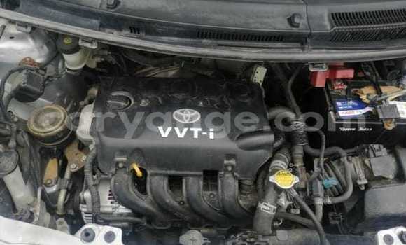 Buy Used Toyota Vitz Other Car in Henties Bay in Erongo Buy Used Toyota Vitz Other Car in Henties Bay in Erongo