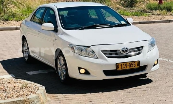 Buy Used Toyota Corolla White Car in Grootfontein in Namibia