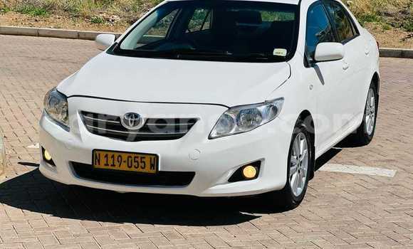 Buy Used Toyota Corolla White Car in Grootfontein in Namibia Buy Used Toyota Corolla White Car in Grootfontein in Namibia