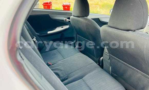 Buy Used Toyota Corolla White Car in Grootfontein in Namibia Buy Used Toyota Corolla White Car in Grootfontein in Namibia