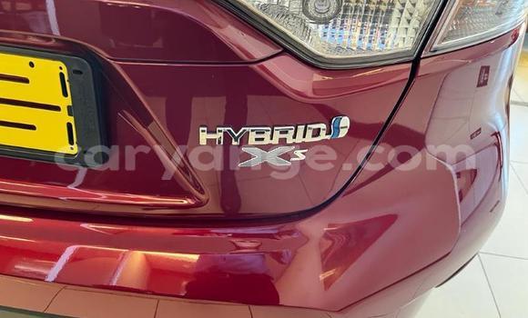 Buy Used Toyota Corolla Red Car in Windhoek in Namibia Buy Used Toyota Corolla Red Car in Windhoek in Namibia