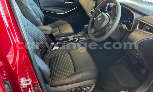 Buy Used Toyota Corolla Red Car in Windhoek in Namibia Buy Used Toyota Corolla Red Car in Windhoek in Namibia