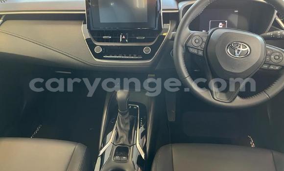 Buy Used Toyota Corolla Red Car in Windhoek in Namibia Buy Used Toyota Corolla Red Car in Windhoek in Namibia