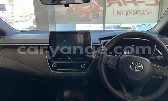 Buy Used Toyota Corolla Red Car in Windhoek in Namibia Buy Used Toyota Corolla Red Car in Windhoek in Namibia