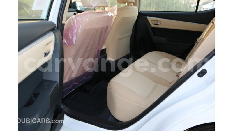 Big with watermark 5614abd9 24ed 430a bf1b 7fd6e7766b2d