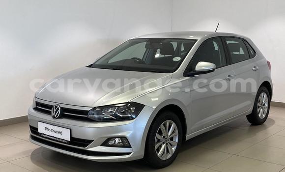 Buy Used Volkswagen Polo Silver Car in Aranos in Hardap