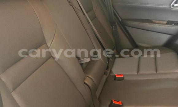 Acheter Occasion Voiture Nissan X–Trail Blanc à Windhoek, Namibie Acheter Occasion Voiture Nissan X–Trail Blanc à Windhoek, Namibie