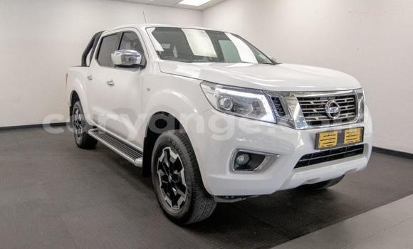 Buy Used Nissan Navara White Car in Gobabis in Omaheke