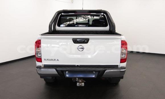 Acheter Occasion Voiture Nissan Navara Blanc à Gobabis, Omaheke Acheter Occasion Voiture Nissan Navara Blanc à Gobabis, Omaheke