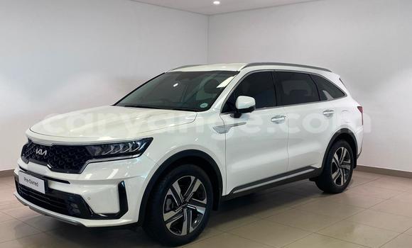 Buy Used Kia Sorento White Car in Windhoek in Namibia