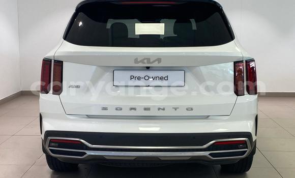 Acheter Occasion Voiture Kia Sorento Blanc à Windhoek, Namibie Acheter Occasion Voiture Kia Sorento Blanc à Windhoek, Namibie