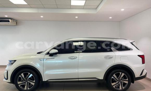 Acheter Occasion Voiture Kia Sorento Blanc à Windhoek, Namibie Acheter Occasion Voiture Kia Sorento Blanc à Windhoek, Namibie