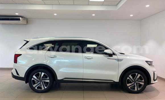 Acheter Occasion Voiture Kia Sorento Blanc à Windhoek, Namibie Acheter Occasion Voiture Kia Sorento Blanc à Windhoek, Namibie