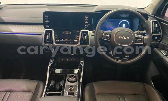 Acheter Occasion Voiture Kia Sorento Blanc à Windhoek, Namibie Acheter Occasion Voiture Kia Sorento Blanc à Windhoek, Namibie