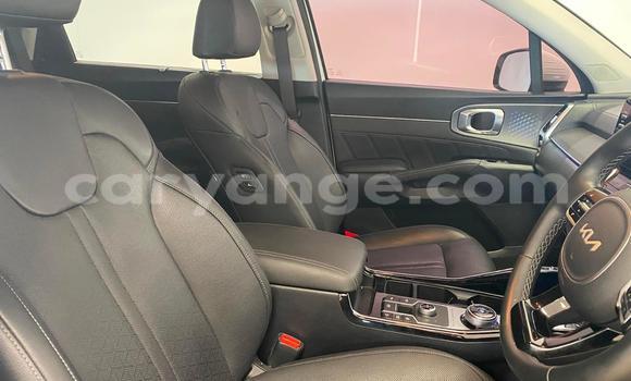 Acheter Occasion Voiture Kia Sorento Blanc à Windhoek, Namibie Acheter Occasion Voiture Kia Sorento Blanc à Windhoek, Namibie