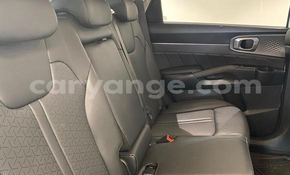 Acheter Occasion Voiture Kia Sorento Blanc à Windhoek, Namibie Acheter Occasion Voiture Kia Sorento Blanc à Windhoek, Namibie