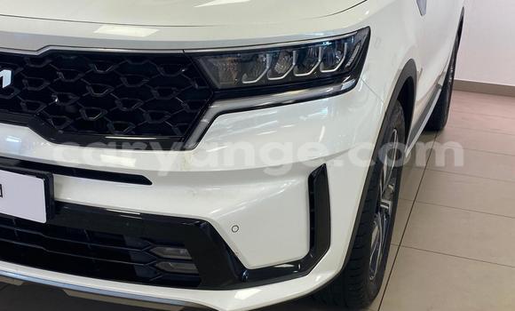 Acheter Occasion Voiture Kia Sorento Blanc à Windhoek, Namibie Acheter Occasion Voiture Kia Sorento Blanc à Windhoek, Namibie