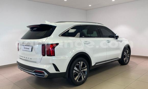 Acheter Occasion Voiture Kia Sorento Blanc à Windhoek, Namibie Acheter Occasion Voiture Kia Sorento Blanc à Windhoek, Namibie