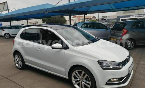 Buy Used Volkswagen Polo White Car in Windhoek in Namibia