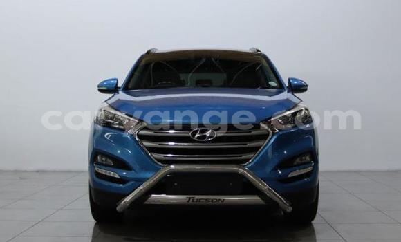 Buy Used Hyundai Tucson Blue Car in Gobabis in Omaheke