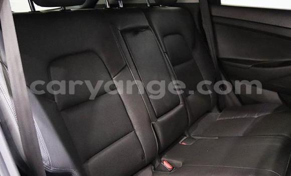 Buy Used Hyundai Tucson Blue Car in Gobabis in Omaheke Buy Used Hyundai Tucson Blue Car in Gobabis in Omaheke